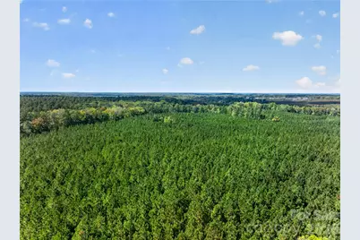 0000 Narrow Bridge Road #3, Chester, SC 29706 - Photo 29