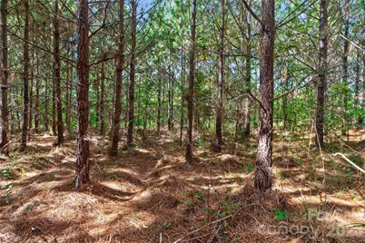 0000 Narrow Bridge Road #3, Chester, SC 29706 - Photo 11