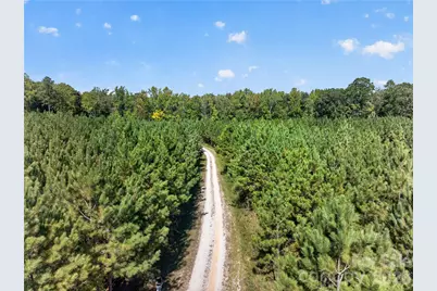 0000 Narrow Bridge Road #3, Chester, SC 29706 - Photo 7