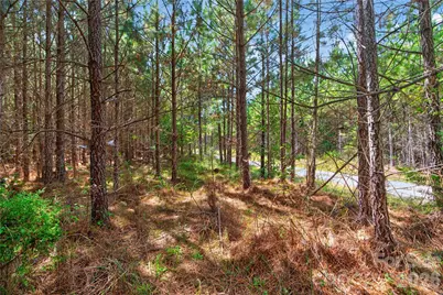 0000 Narrow Bridge Road #3, Chester, SC 29706 - Photo 27