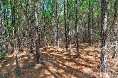 0000 Narrow Bridge Road #3, Chester, SC 29706 - Photo 25