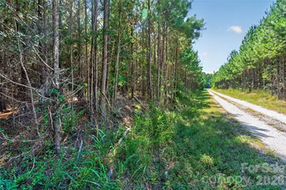 0000 Narrow Bridge Road #3, Chester, SC 29706 - Photo 9