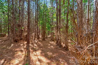 0000 Narrow Bridge Road #3, Chester, SC 29706 - Photo 21
