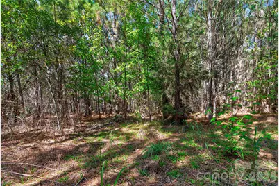 0000 Narrow Bridge Road #3, Chester, SC 29706 - Photo 15