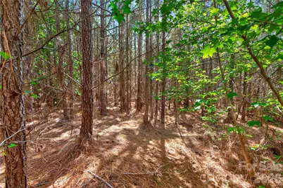 0000 Narrow Bridge Road #3, Chester, SC 29706 - Photo 19
