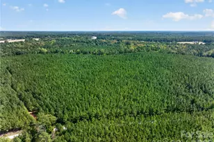 0000 Narrow Bridge Rd, Chester, SC 29706 - Photo 1