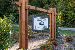 103 Hayes Rdg Ln, Mills River, NC 28759 - Photo 47