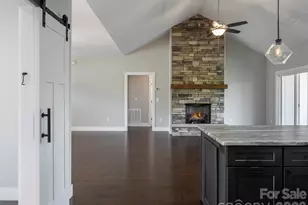 103 Hayes Rdg Ln, Mills River, NC 28759 - Photo 23
