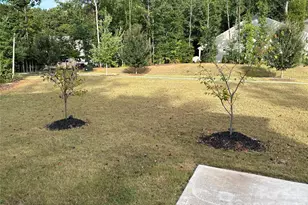 11202 Dappled Lgt Trl, Mint Hill, NC 28227 - Photo 39