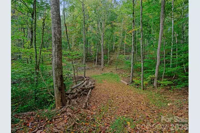 000 Double Island Road, Burnsville, NC 28714 - Photo 13