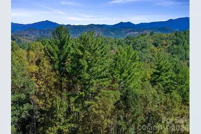 000 Double Island Road, Burnsville, NC 28714 - Photo 39