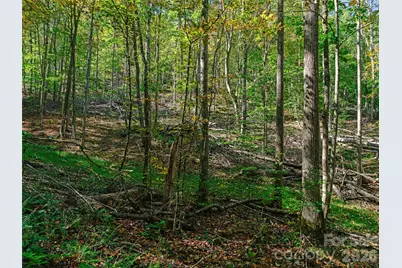 000 Double Island Road, Burnsville, NC 28714 - Photo 23