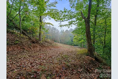 000 Double Island Road, Burnsville, NC 28714 - Photo 3