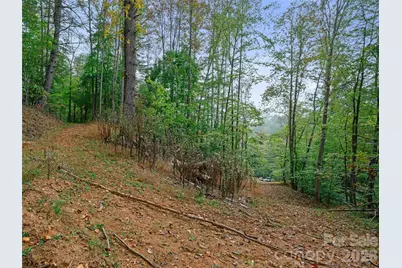 000 Double Island Road, Burnsville, NC 28714 - Photo 15