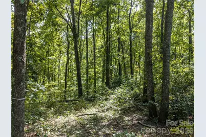 Tbd Orange Plum Lane #4, Asheville, NC 28803 - Photo 19