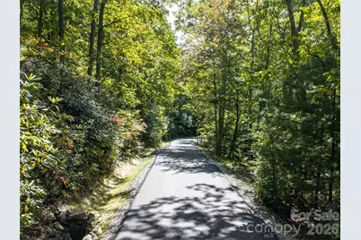 Tbd Orange Plum Lane #4, Asheville, NC 28803 - Photo 15