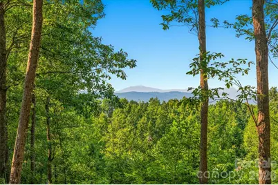 149 + 207 Mossy Oak Trail #167 + 166, Nebo, NC 28761 - Photo 11