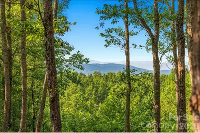 149 + 207 Mossy Oak Trail #167 + 166, Nebo, NC 28761 - Photo 7