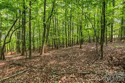 149 + 207 Mossy Oak Trail #167 + 166, Nebo, NC 28761 - Photo 43