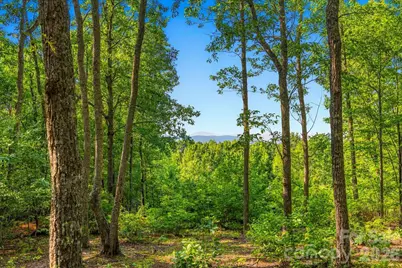 149 + 207 Mossy Oak Trail #167 + 166, Nebo, NC 28761 - Photo 13