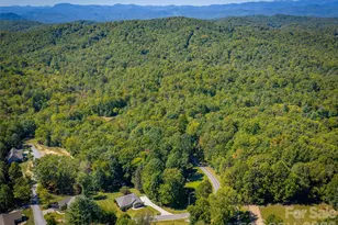 202 Hondah Rd, Brevard, NC 28712 - Photo 39