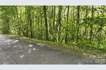 Lot 1 South View Trail #1, Banner Elk, NC 28604 - Photo 27