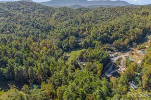 468 Willow Springs Cove, Hendersonville, NC 28739 - Photo 41