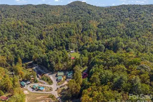 468 Willow Springs Cove, Hendersonville, NC 28739 - Photo 39