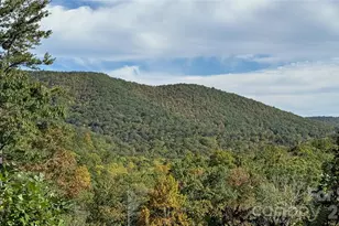 898 Rock Creek Rd, Burnsville, NC 28714 - Photo 13