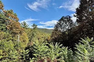 898 Rock Creek Rd, Burnsville, NC 28714 - Photo 11