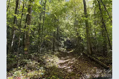 0 Wiggins Creek Road, Bryson City, NC 28713 - Photo 11