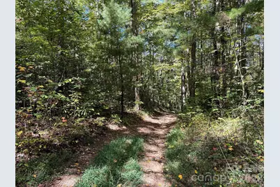 0 Wiggins Creek Road, Bryson City, NC 28713 - Photo 13
