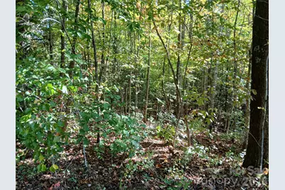 11 Melrose Lake Road, Saluda, NC 28773 - Photo 13