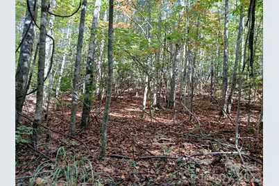 11 Melrose Lake Road, Saluda, NC 28773 - Photo 9