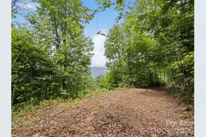99 Settings Boulevard #3 A-12, Black Mountain, NC 28711 - Photo 9