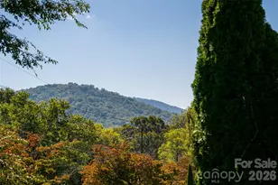 23 Wagon Rd, Asheville, NC 28805 - Photo 11