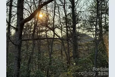 Tbd Burnt Ridge Trail, Black Mountain, NC 28711 - Photo 3