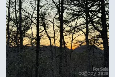 Tbd Burnt Ridge Trail, Black Mountain, NC 28711 - Photo 7