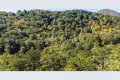 Tbd Burnt Ridge Trail, Black Mountain, NC 28711 - Photo 15