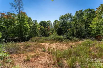 21 W Keesler Street, Black Mountain, NC 28711 - Photo 7