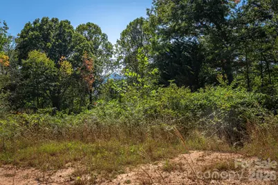 21 W Keesler Street, Black Mountain, NC 28711 - Photo 5