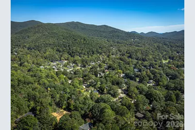 21 W Keesler Street, Black Mountain, NC 28711 - Photo 11