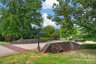 966 Mapleton Ln, Columbus, NC 28722 - Photo 43