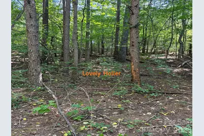81 Union Chapel Road, Weaverville, NC 28787 - Photo 7