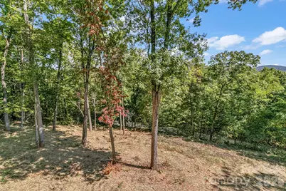 135 Bald Eagle Drive, Hendersonville, NC 28792 - Photo 21