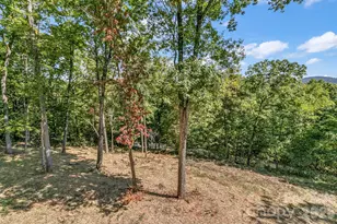 135 Bald Eagle Dr, Hendersonville, NC 28792 - Photo 21