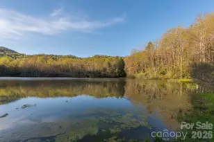 54 Winning Way, Old Fort, NC 28762 - Photo 43