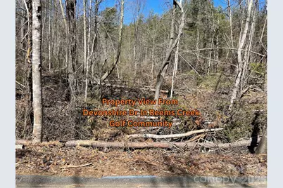 83 Union Chapel Road, Weaverville, NC 28787 - Photo 11