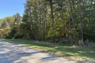 0 Washington Dr, Yadkinville, NC 27055 - Photo 1