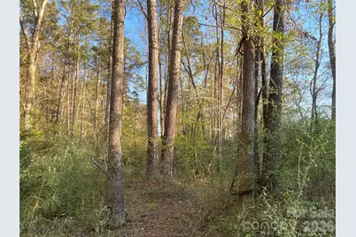 161 Little River Trail #1, Indian Land, SC 29707 - Photo 1